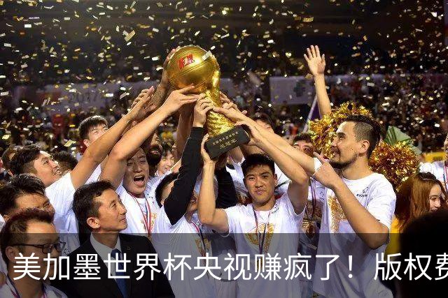 美加墨世界杯央视赚疯了！版权费仅6000万美元，收入或破80亿大关