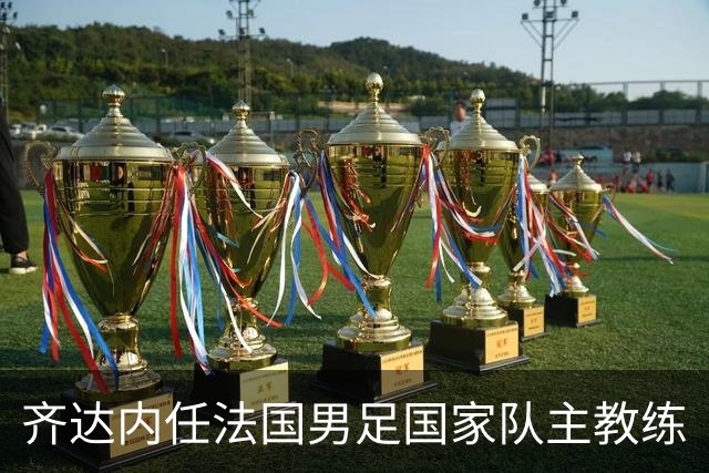齐达内任法国男足国家队主教练